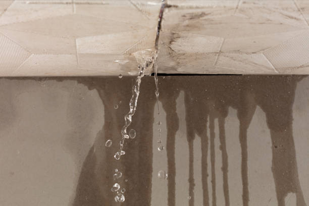 Professional Burst Pipe Cleanup technician working in Hodges, SC